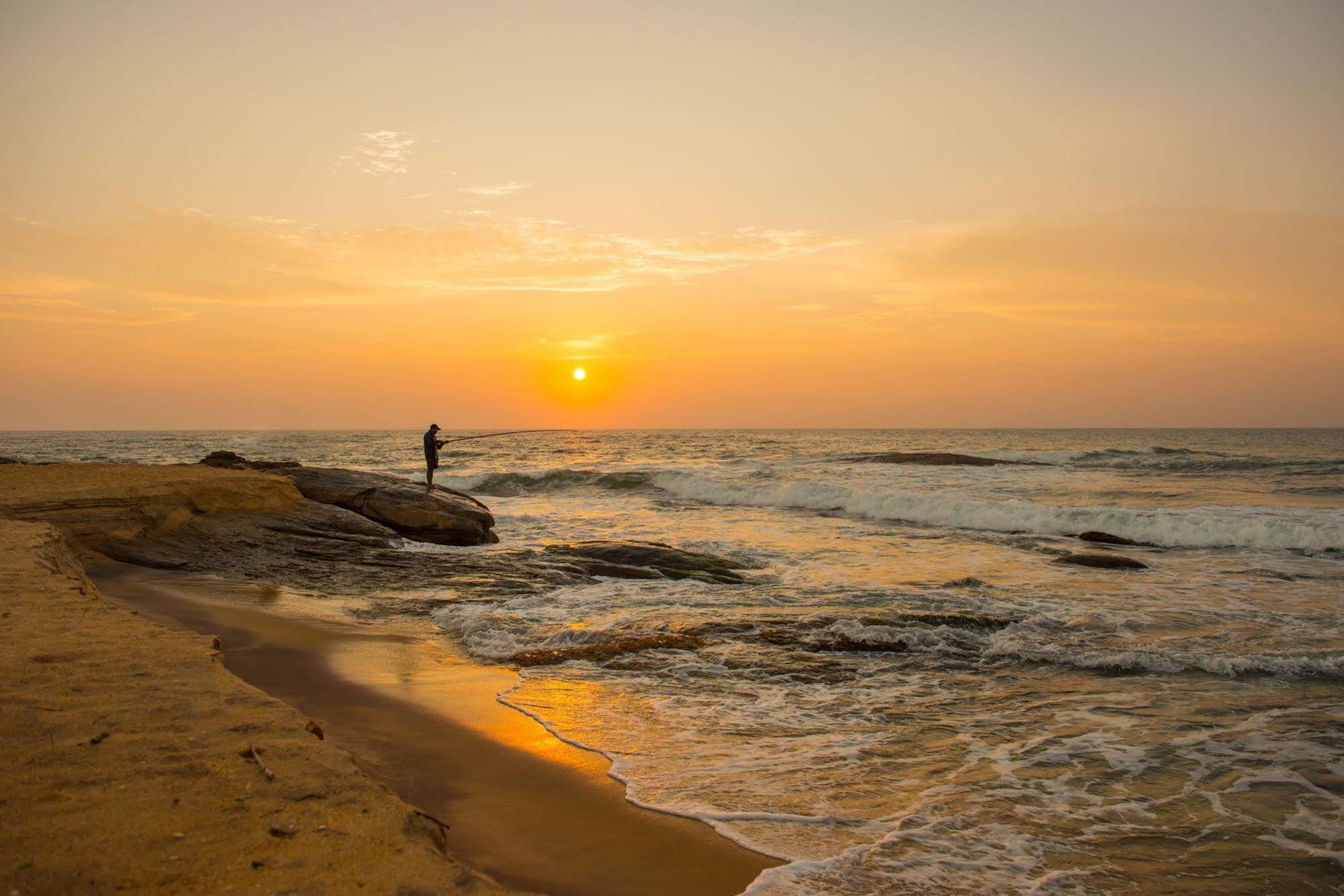 Uga Chena Huts – All Inclusive Yala Exterior foto
